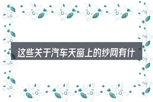 这些关于汽车天窗上的纱网有什么用的理解可能有偏差