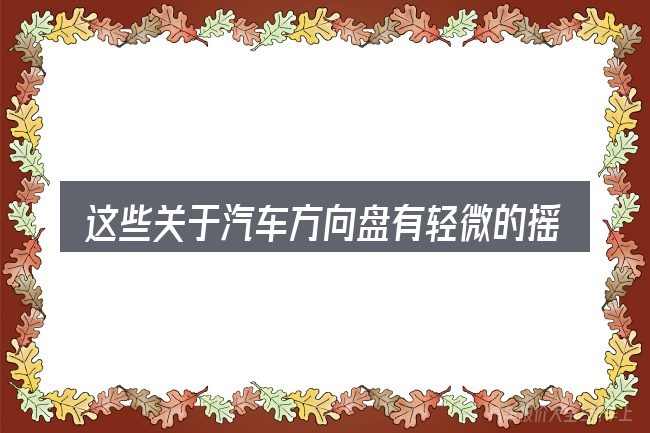 这些关于汽车方向盘有轻微的摇晃的理解可能有偏差
