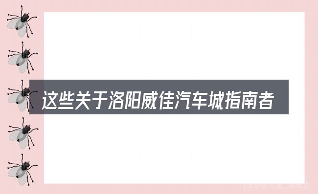 这些关于洛阳威佳汽车城指南者家享版的理解可能有偏差