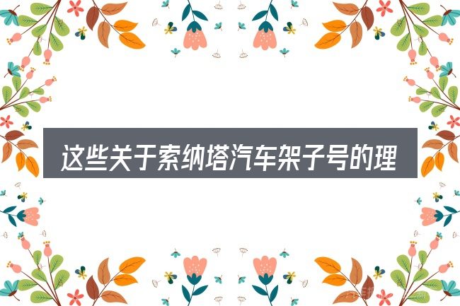 这些关于索纳塔汽车架子号的理解可能有偏差