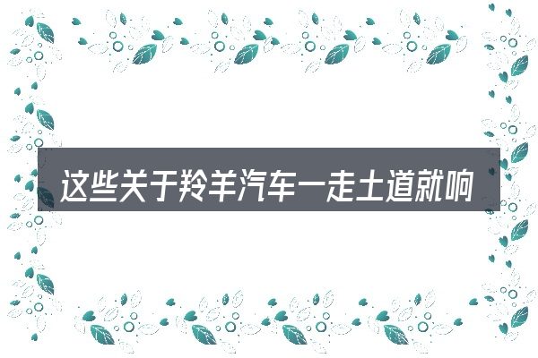 这些关于羚羊汽车一走土道就响的理解可能有偏差