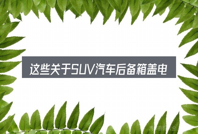 这些关于SUV汽车后备箱盖电动的理解可能有偏差