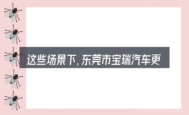 这些场景下,东莞市宝瑞汽车更值得考虑