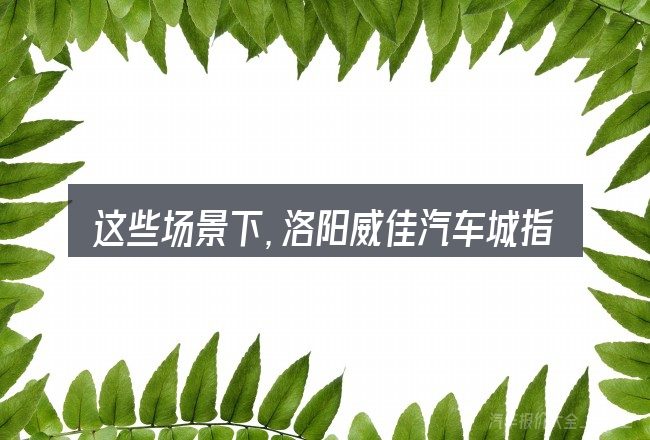 这些场景下,洛阳威佳汽车城指南者家享版更值得考虑