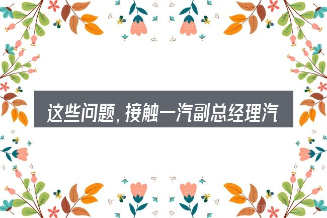 这些问题,接触一汽副总经理汽车协会的人几乎都会遇到
