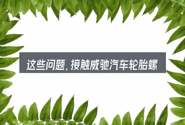 这些问题,接触威驰汽车轮胎螺丝多大的人几乎都会遇到
