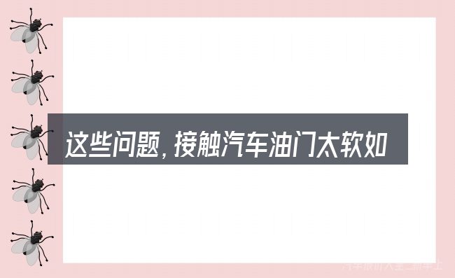 这些问题,接触汽车油门太软如何解决的人几乎都会遇到