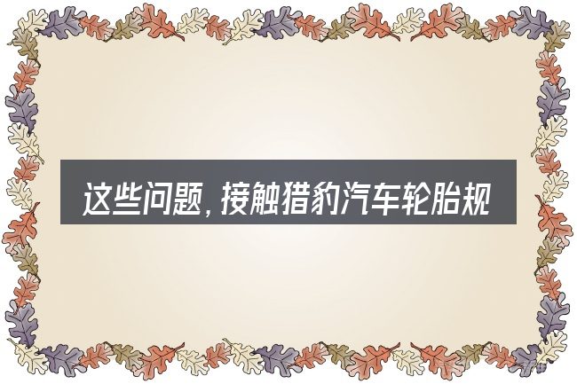 这些问题，接触猎豹汽车轮胎规格参数的人几乎都会遇到