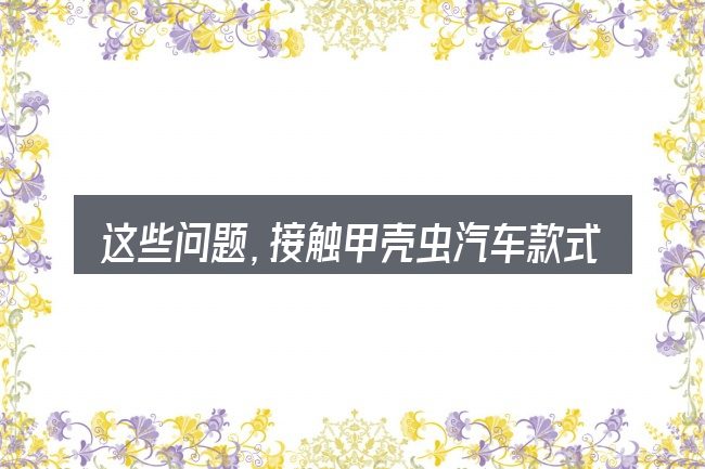 这些问题，接触甲壳虫汽车款式及报价的人几乎都会遇到
