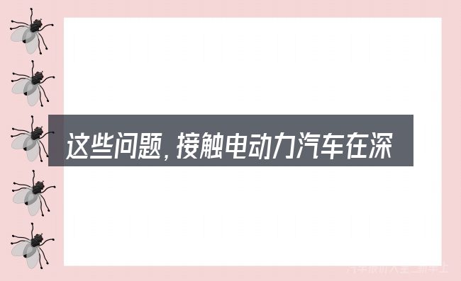 这些问题,接触电动力汽车在深圳怎么上牌的人几乎都会遇到