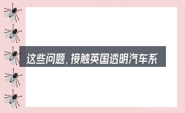 这些问题,接触英国透明汽车系列的人几乎都会遇到