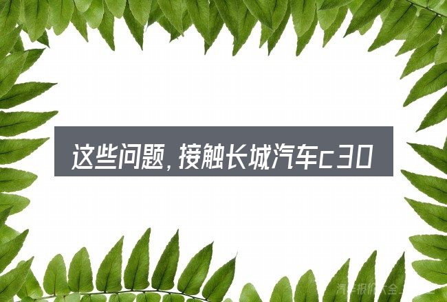 这些问题,接触长城汽车c30ev电瓶价格的人几乎都会遇到