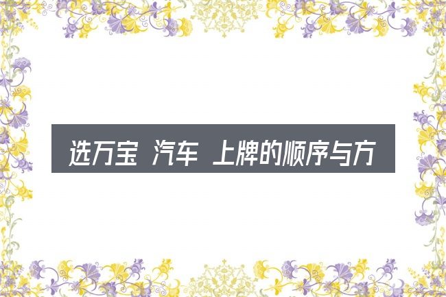 选万宝 汽车 上牌的顺序与方法