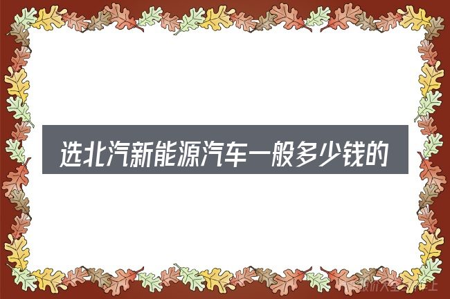 选北汽新能源汽车一般多少钱的顺序与方法