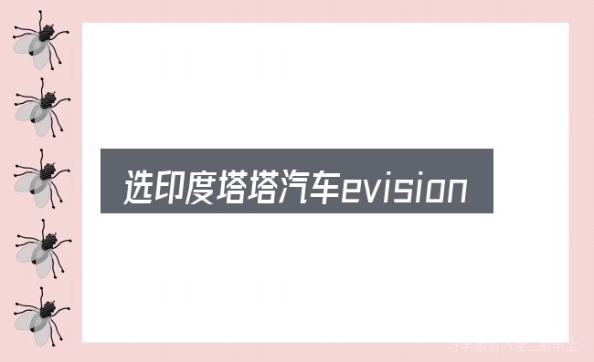选印度塔塔汽车evision的顺序与方法