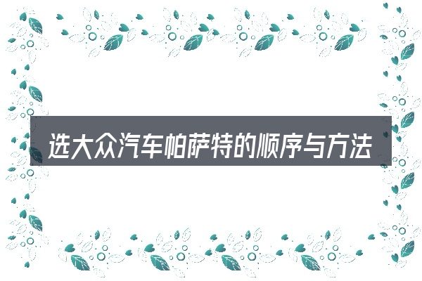 选大众汽车帕萨特的顺序与方法