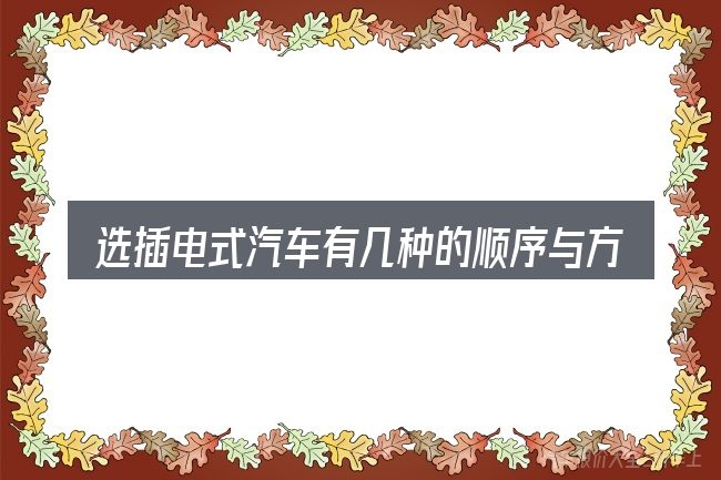 选插电式汽车有几种的顺序与方法