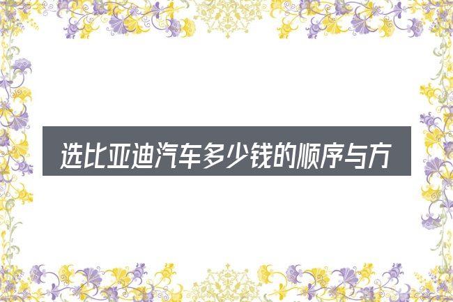 选比亚迪汽车多少钱的顺序与方法