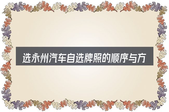 选永州汽车自选牌照的顺序与方法