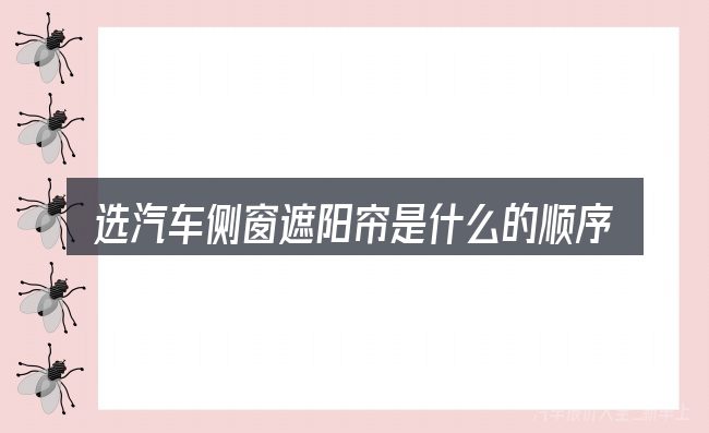 选汽车侧窗遮阳帘是什么的顺序与方法