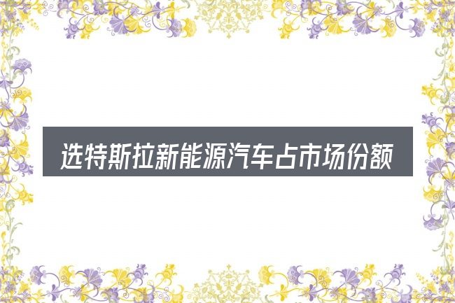 选特斯拉新能源汽车占市场份额的顺序与方法