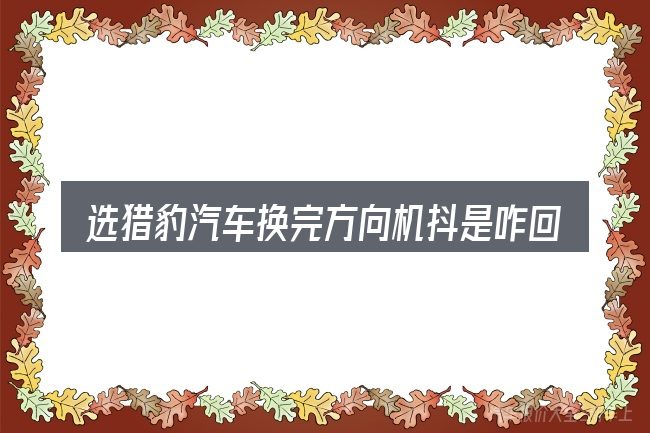 选猎豹汽车换完方向机抖是咋回事的顺序与方法