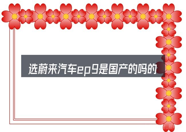 选蔚来汽车ep9是国产的吗的顺序与方法