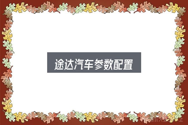 一文讲清途达汽车参数配置：把标准对齐就好办了