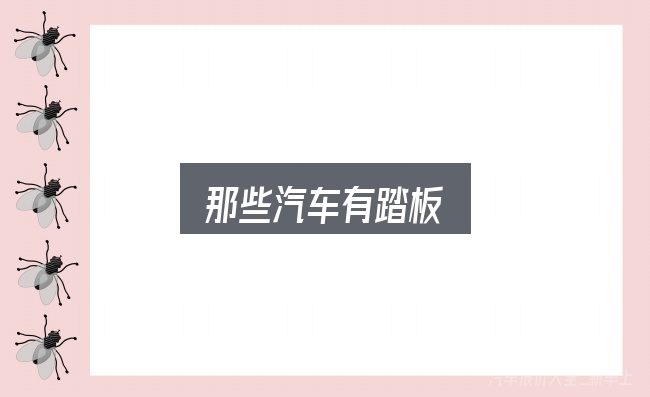 关于那些汽车有踏板，关键问题集中回答