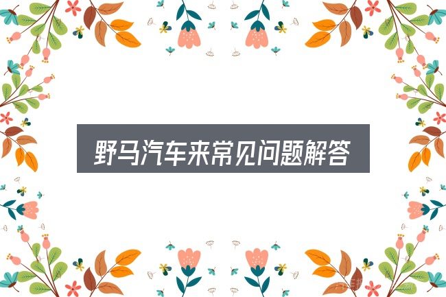 野马汽车来常见问题解答