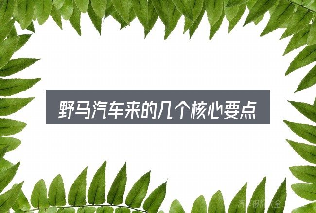 野马汽车来的几个核心要点