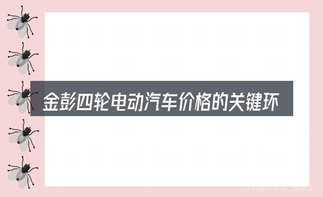 金彭四轮电动汽车价格的关键环节