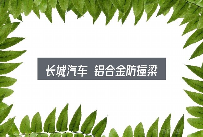 一文讲清长城汽车 铝合金防撞梁：你需要了解的基础信息