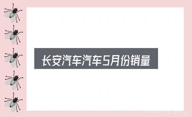 一文讲清长安汽车汽车5月份销量：需要关注的几个维度