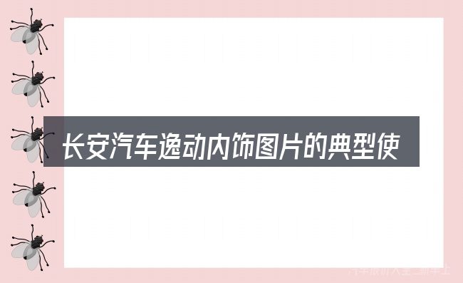 长安汽车逸动内饰图片的典型使用场景
