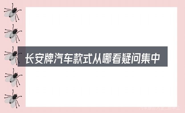 长安牌汽车款式从哪看疑问集中回答