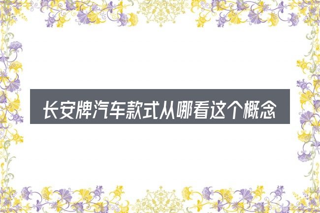 长安牌汽车款式从哪看这个概念怎么理解