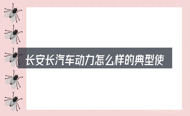 长安长汽车动力怎么样的典型使用场景