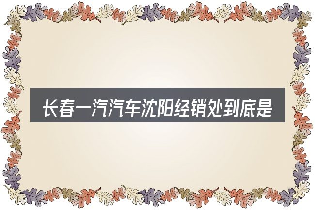 长春一汽汽车沈阳经销处到底是什么