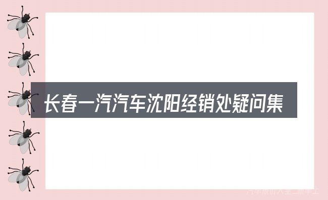 长春一汽汽车沈阳经销处疑问集中回答