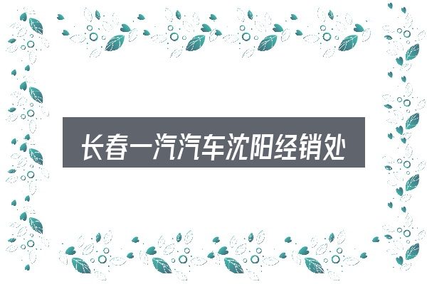 长春一汽汽车沈阳经销处实用指南：重点、难点与建议