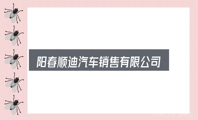 阳春顺迪汽车销售有限公司是什么？把关键变量找出来