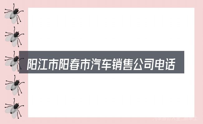 阳江市阳春市汽车销售公司电话需要对齐的几件事
