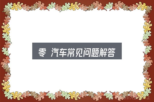 零 汽车常见问题解答