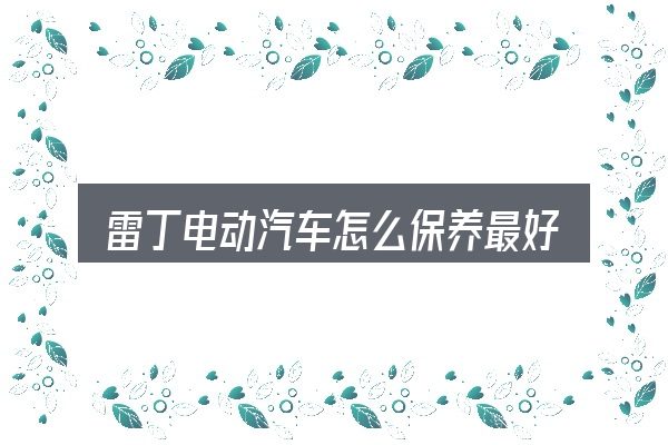 关于「雷丁电动汽车怎么保养最好」，看清本质再谈选择