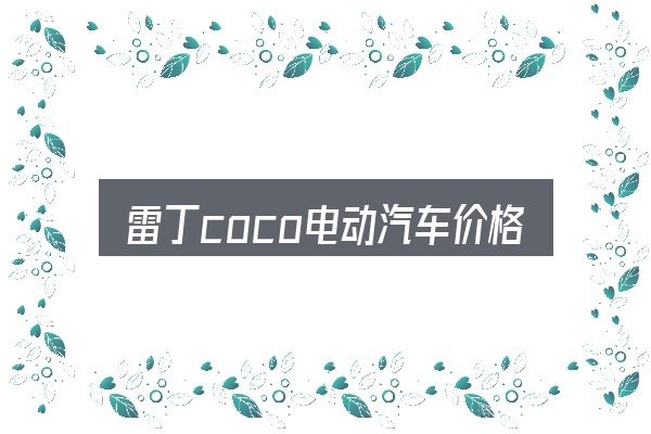 雷丁coco电动汽车价格表是什么？把关键变量找出来