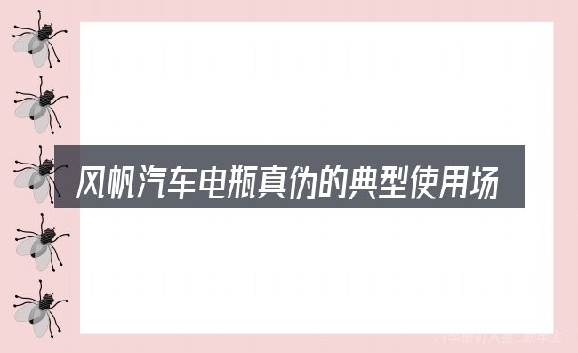 风帆汽车电瓶真伪的典型使用场景