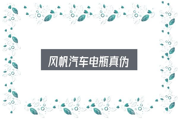 关于风帆汽车电瓶真伪，细节决定体验