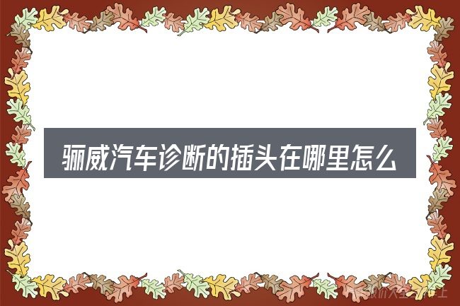 骊威汽车诊断的插头在哪里怎么选才不容易出错