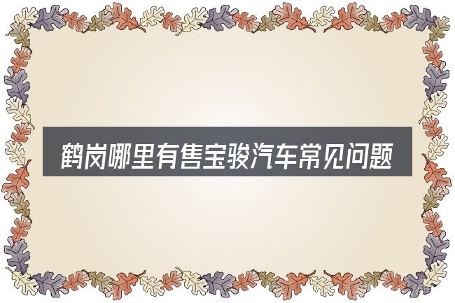 鹤岗哪里有售宝骏汽车常见问题解答